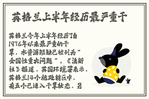 午夜.dj高清在线观看免费