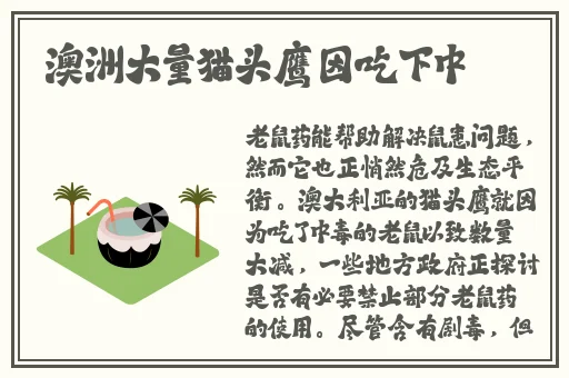 97精品欧美91久久久久久